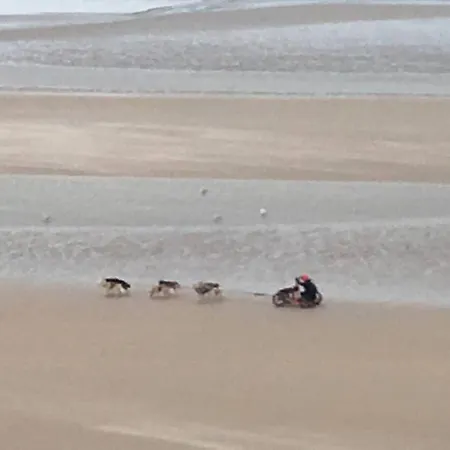 Entre Dunes Et * Bray-Dunes