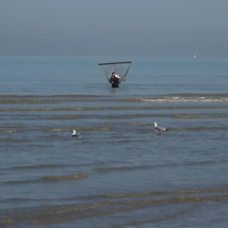 Daire Entre Dunes Et