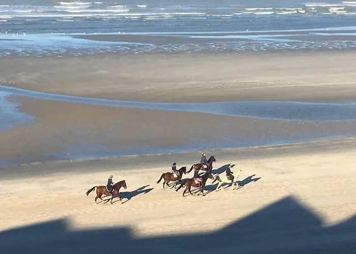 Entre Dunes Et Apartment Bray-Dunes