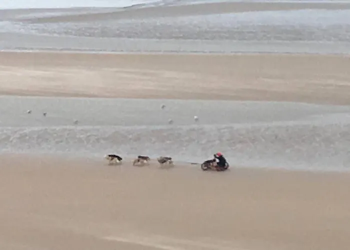 Entre Dunes Et * Bray-Dunes