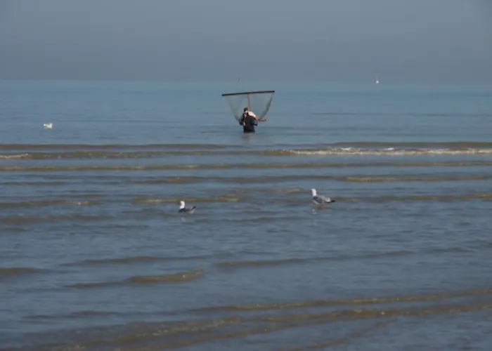 Apartment Entre Dunes Et