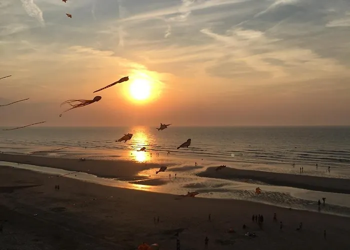 Entre Dunes Et Apartment